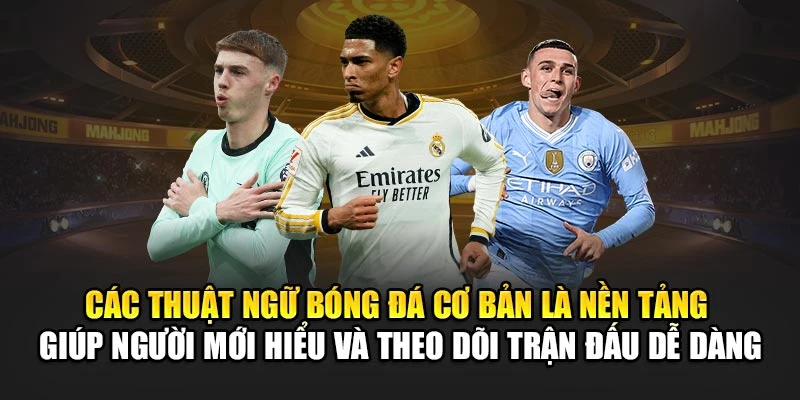 Các thuật ngữ bóng đá cơ bản là nền tảng giúp người mới hiểu và theo dõi trận đấu dễ dàng
