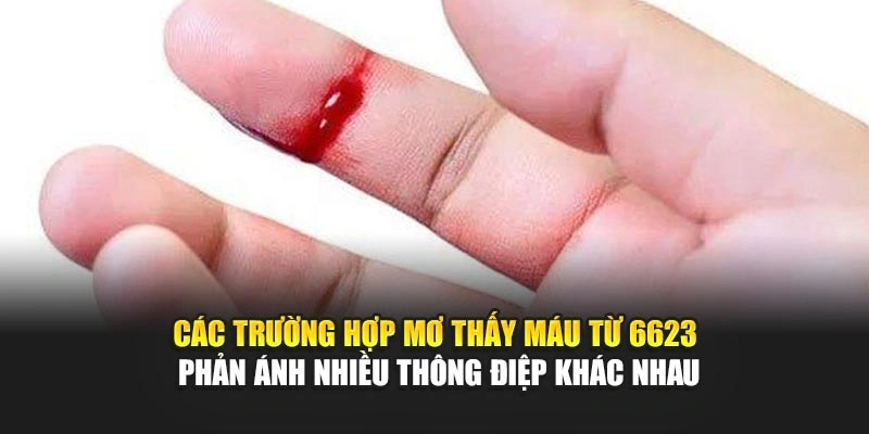 Các trường hợp mơ thấy máu từ 6623 phản ánh nhiều thông điệp khác nhau