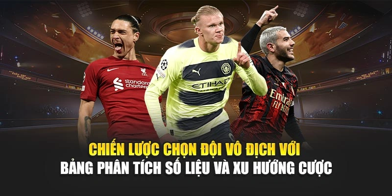 Chiến lược chọn đội vô địch với bảng phân tích số liệu và xu hướng cược