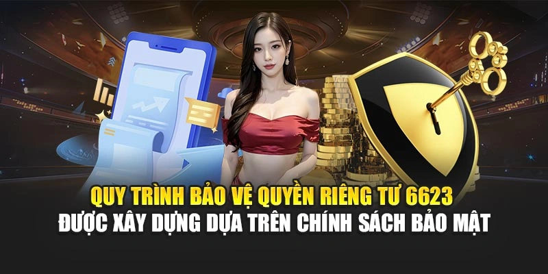 Quy trình bảo vệ quyền riêng tư 6623 được xây dựng dựa trên chính sách bảo mật