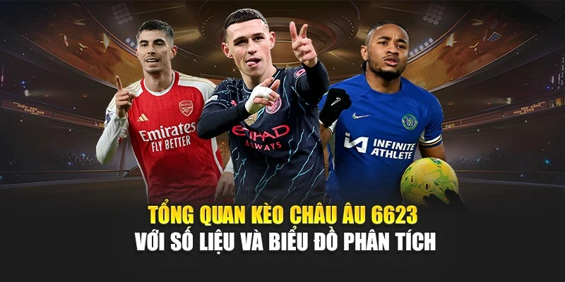 Tổng quan kèo châu Âu 6623 với số liệu và biểu đồ phân tích