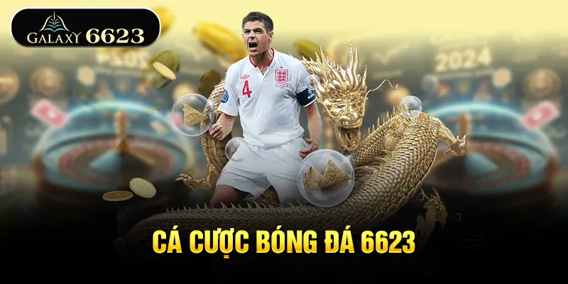 Cá cược bóng đá sân chơi 6623 